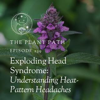 Exploding Head Syndrome: Understanding Heat-Pattern Headaches