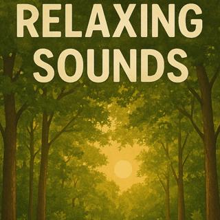 Relaxing Sounds – Warm Summer Forest | Sleep, Study, Focus | (8 Hours)