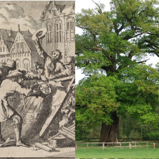 Dikke Baum vs Dutch Cannibalism