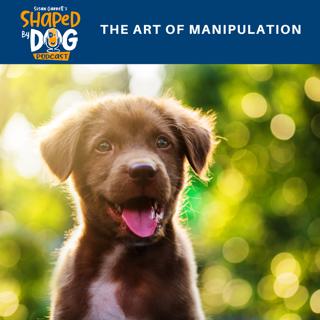 The Art of Manipulation #6
