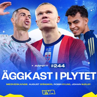 #244 Äggkast i plytet