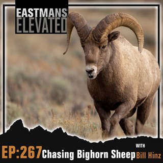 Episode 267: Chasing Bighorn Sheep with Bill Hinz