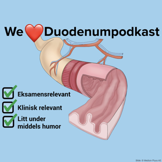 We love duodenum (første del av tynntarmen)
