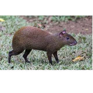 Saturday, November 1, 2025 - All hail the PEOPLESELBOW! 💪🏽