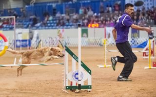 172: Watching Your Dog on Course