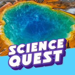 Yellowstone Supervolcano Alert: What Happens If It Erupts? 🌋💥