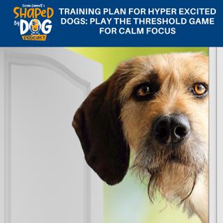 Training Plan For Hyper Excited Dogs: Play The Threshold Game For Calm Focus #258