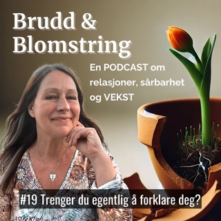 #19 Trenger du egentlig å forklare deg?