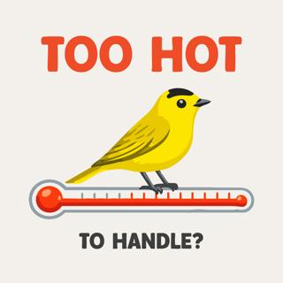 Okay, but can birds keep up with climate change?