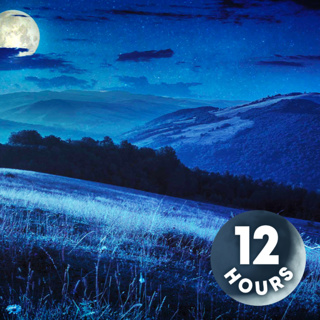 Cricket Nature Sleep Sounds 12 Hours