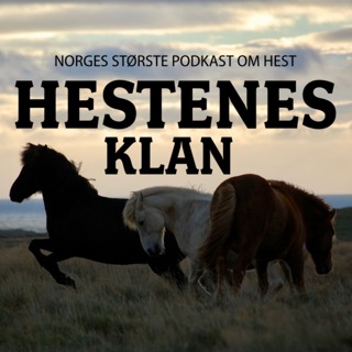 TRAILER - JUBILEUMSEPISODE!