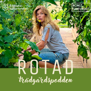 Lotta Lundgren och sanningen om tomater