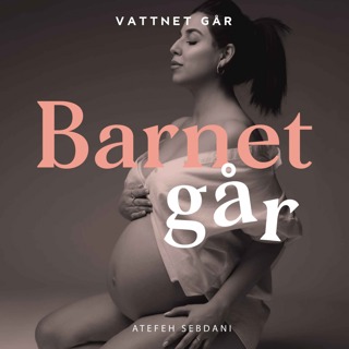 518. Barnet Går - Atefeh Sebdani, "Jag var livrädd för hur jag skulle bli som förälder"