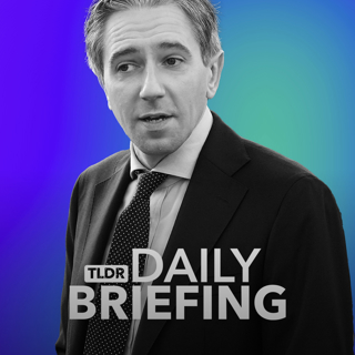Ireland Votes in the 2024 General Election: What Next?