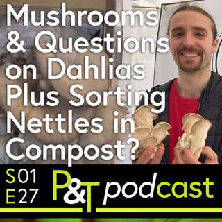 Growing Mushrooms & Questions on Dahlia Lifting and What to do about Nettles in your Compost?