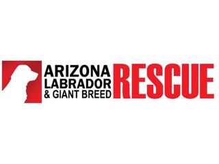 Arizona Lab & Giant Breed Rescue LIVE