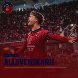 307. ALLSVENSKAN!!