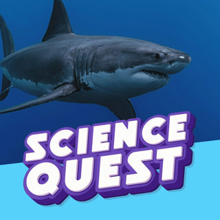 What's The Deadliest Animal in History?