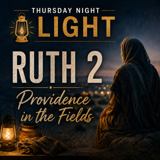 Ruth 2 | Providence in the Fields | Christian Bible Study