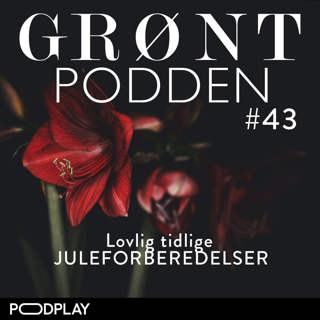 #43 Lovlig tidlige juleforberedelser