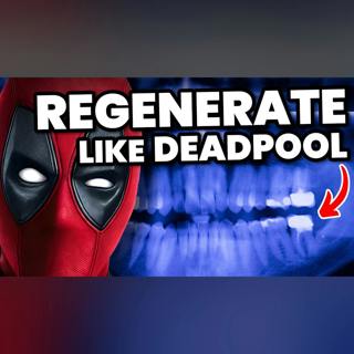 Just like Deadpool, Humans Are Now Able to Regrow Body Parts