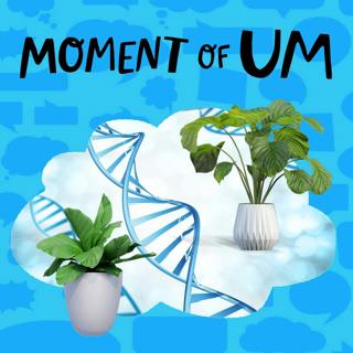 Do plants have DNA?
