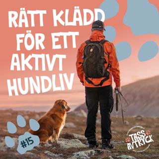 Pinewood - rätt klädd för ett aktivt hundliv