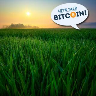 LTB!: BitTorrent Creator Bram Cohen on Coronavirus Second Order Effects and Improving on Bitcoin