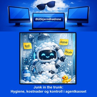 #26-08 Junk in the trunk: Hygiene, kostnader og kontroll i agentkaoset