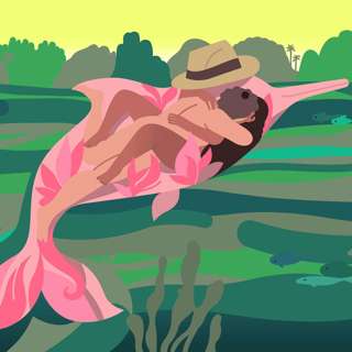 Dolphins and other lovers