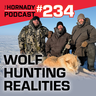 Ep. 234 - Wolf Hunting Realities