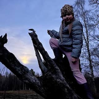 Naturtips i november – och den bortglömda oxeln