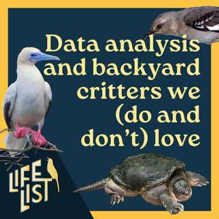 Interpreting migration data, cataloging our backyards, and El Niño predictions