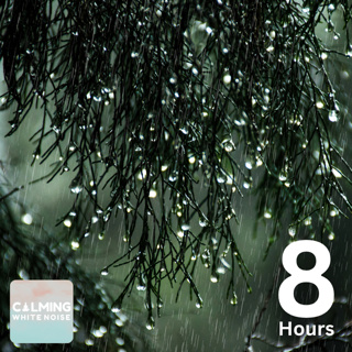 Relaxing Rain Sounds for Peaceful Sleep (8 Hours) | Gentle Rain Downpour for a Restful Night