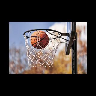 2007 Providence Basketball Season