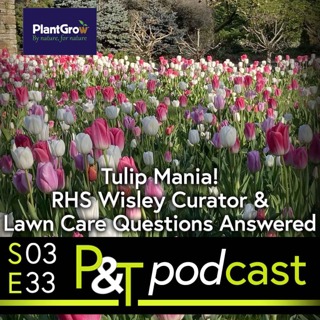 Tulip Mania, RHS Wisley Curator & Lawn Care Questions Answered