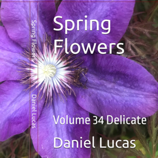 Spring Flowers Volume 34 Delicate by Daniel Lucas