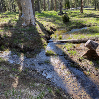 106: Spring Day Beside A Confluence Of Mountain Streams