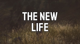The New Life