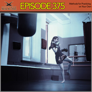 Episode 375 - Methods for Practicing on Your Own