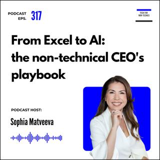 317. From Excel spreadsheet to AI company: the non-technical CEO's playbook
