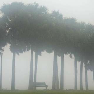 Dense Fog Disrupts UK Travel, Boost Your UK Pension Now, Great British Energy Launches, Parliament Debates Safer Phones Bill, and more...