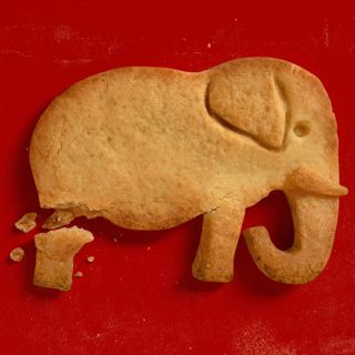 Sarah Longwell, a Former Republican, on “How to Eat an Elephant”