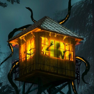 I Work in a Fire Lookout. There are 4 STRANGE Rules
