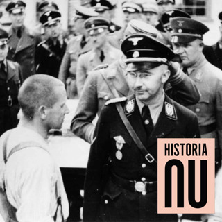 Heinrich Himmlers planer för Sverige