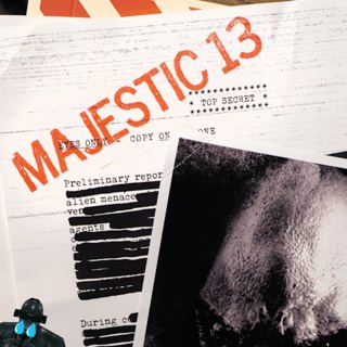 41 - Majestic 13