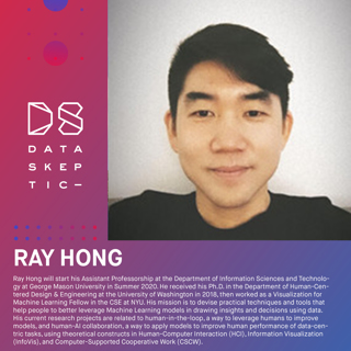 Interpretability Practitioners