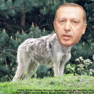The Erdogan-episod
