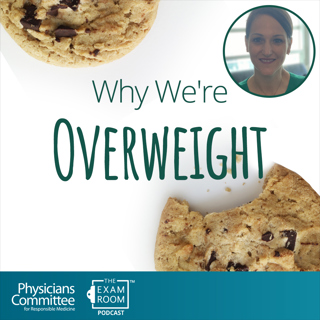 Why Are We Overweight? It's More Than Calories | Dr. Mickey Witte