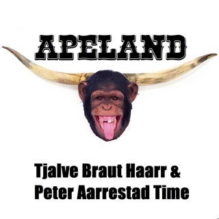 Tjalve Braut Haarr & Peter Aarrestad Time